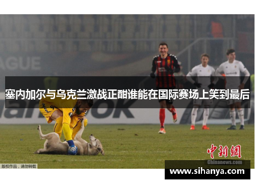 塞内加尔与乌克兰激战正酣谁能在国际赛场上笑到最后