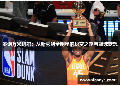 多诺万米切尔：从新秀到全明星的蜕变之路与篮球梦想