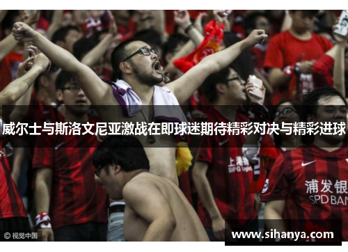 威尔士与斯洛文尼亚激战在即球迷期待精彩对决与精彩进球