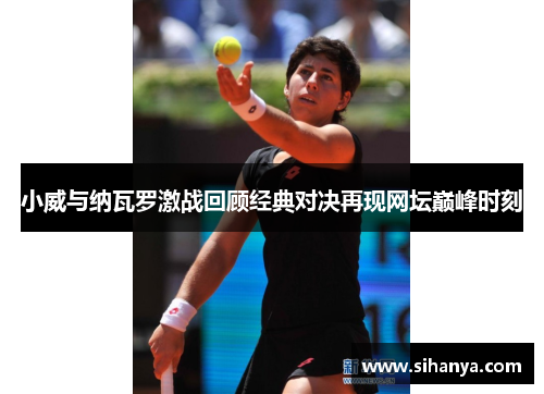小威与纳瓦罗激战回顾经典对决再现网坛巅峰时刻