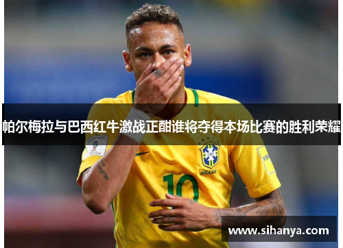 帕尔梅拉与巴西红牛激战正酣谁将夺得本场比赛的胜利荣耀